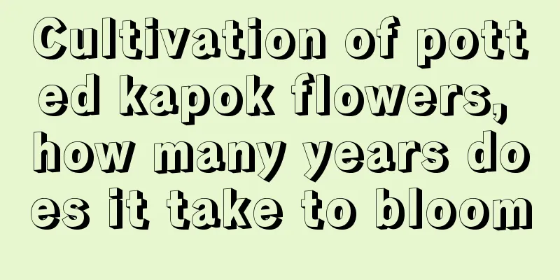 Cultivation of potted kapok flowers, how many years does it take to bloom