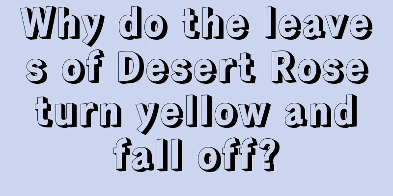 Why do the leaves of Desert Rose turn yellow and fall off?