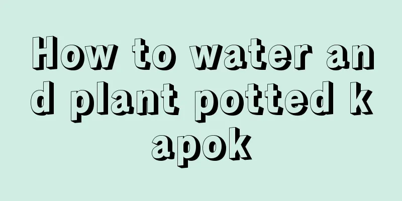 How to water and plant potted kapok