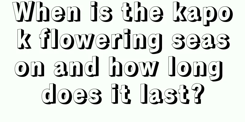 When is the kapok flowering season and how long does it last?