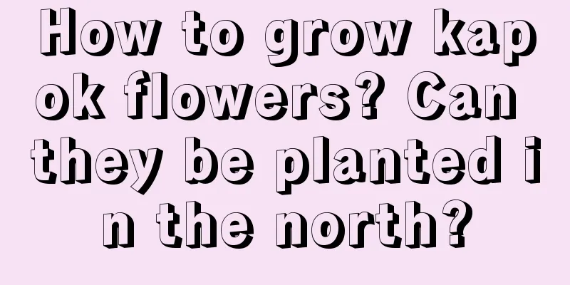 How to grow kapok flowers? Can they be planted in the north?