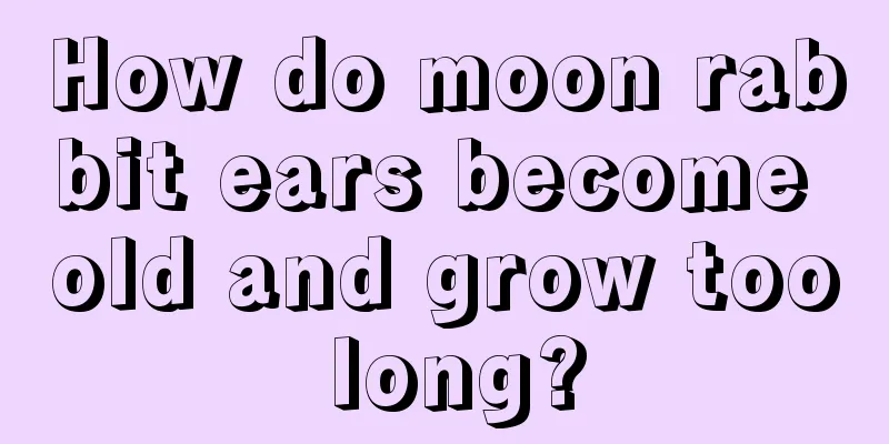 How do moon rabbit ears become old and grow too long?