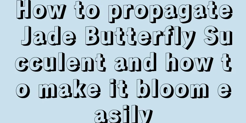 How to propagate Jade Butterfly Succulent and how to make it bloom easily