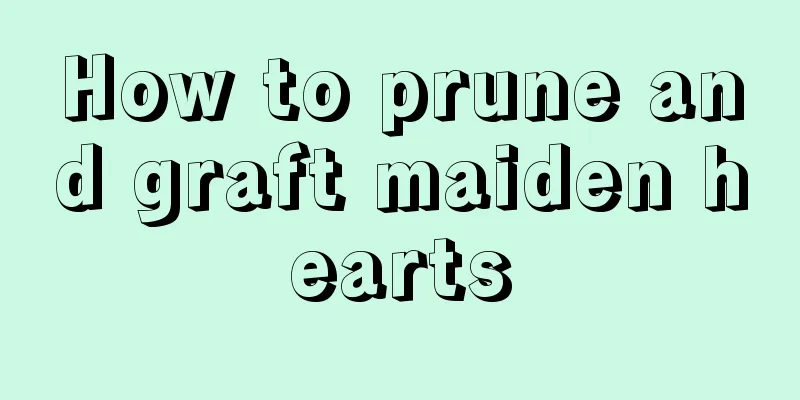 How to prune and graft maiden hearts