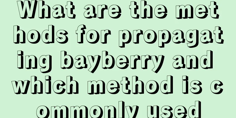 What are the methods for propagating bayberry and which method is commonly used