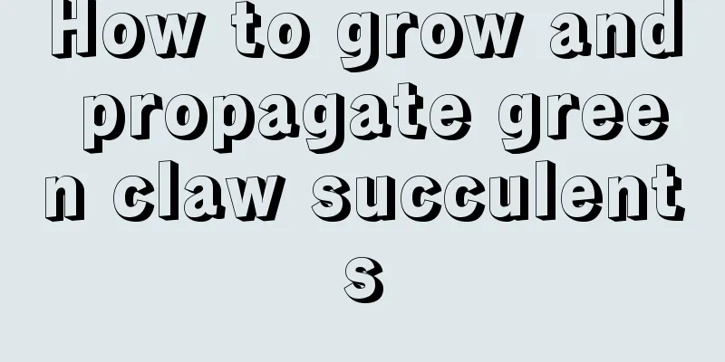 How to grow and propagate green claw succulents