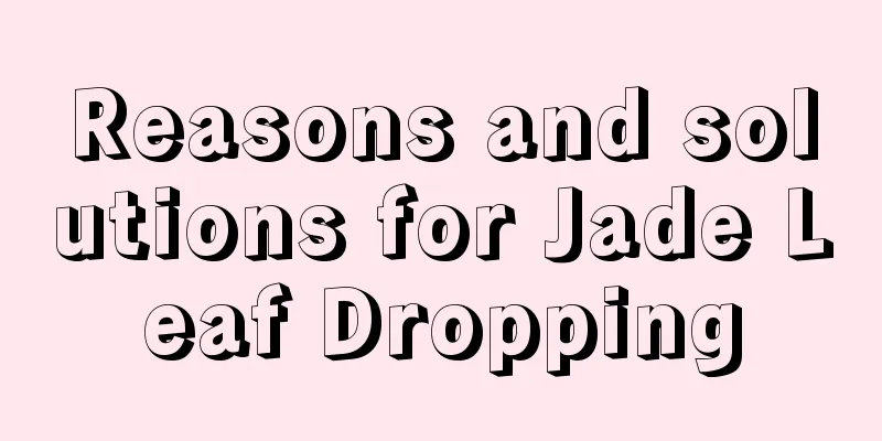 Reasons and solutions for Jade Leaf Dropping