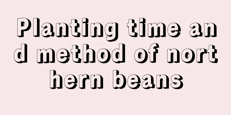 Planting time and method of northern beans