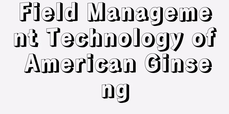 Field Management Technology of American Ginseng