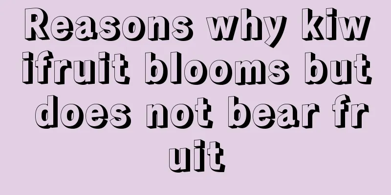 Reasons why kiwifruit blooms but does not bear fruit