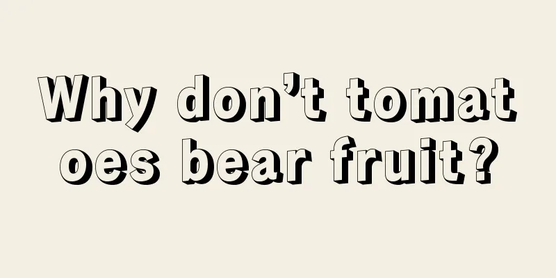 Why don’t tomatoes bear fruit?