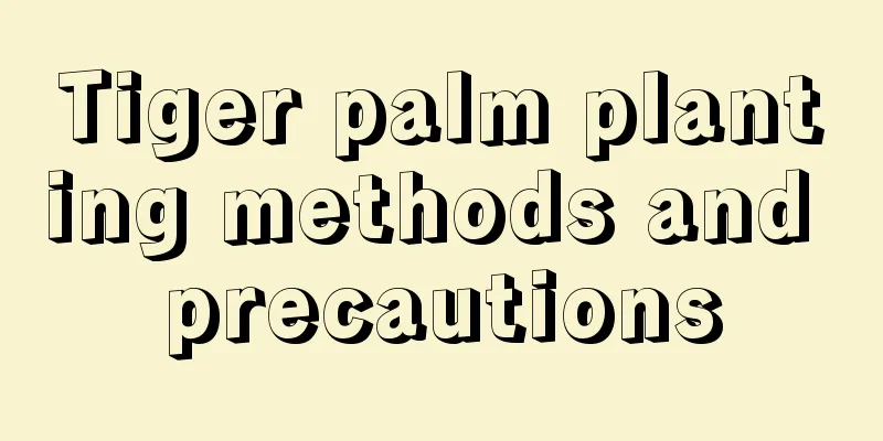 Tiger palm planting methods and precautions