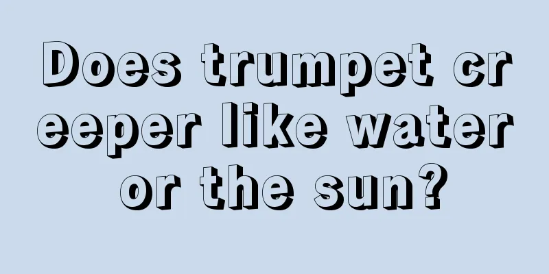 Does trumpet creeper like water or the sun?