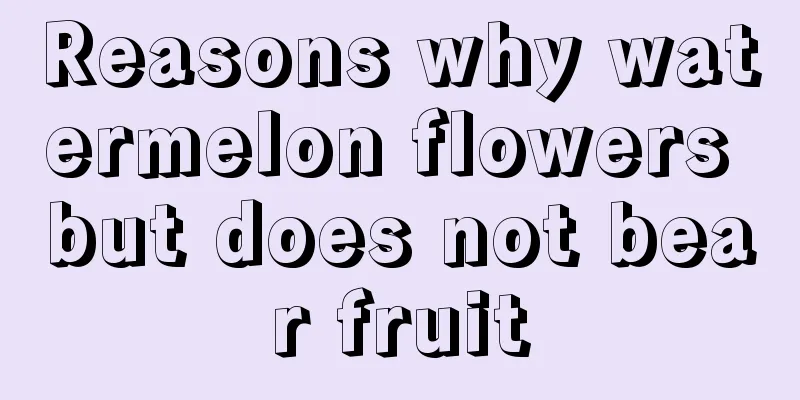 Reasons why watermelon flowers but does not bear fruit