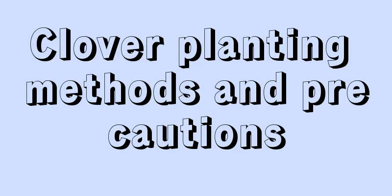 Clover planting methods and precautions