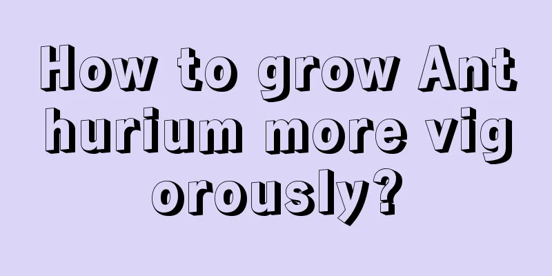 How to grow Anthurium more vigorously?