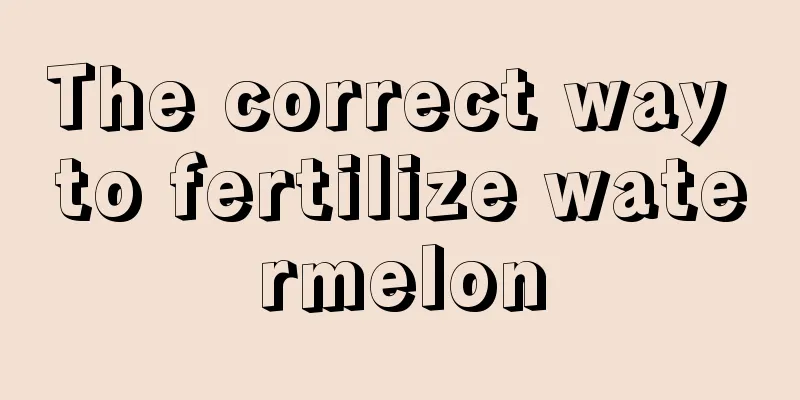 The correct way to fertilize watermelon