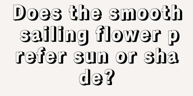 Does the smooth sailing flower prefer sun or shade?