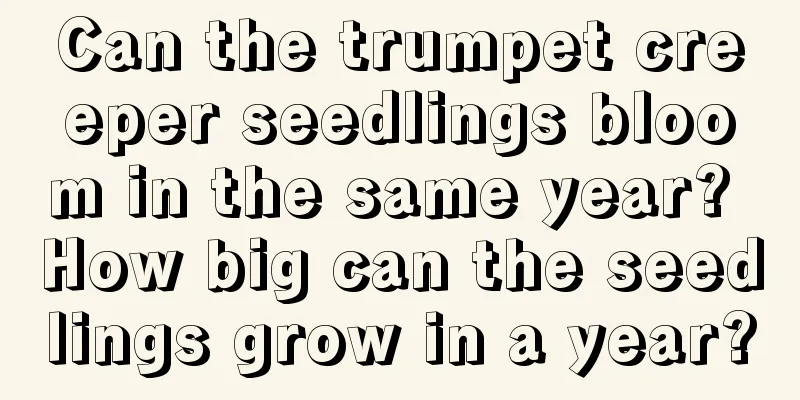 Can the trumpet creeper seedlings bloom in the same year? How big can the seedlings grow in a year?