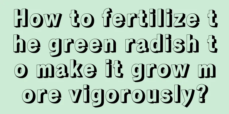 How to fertilize the green radish to make it grow more vigorously?