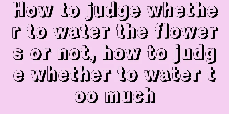 How to judge whether to water the flowers or not, how to judge whether to water too much