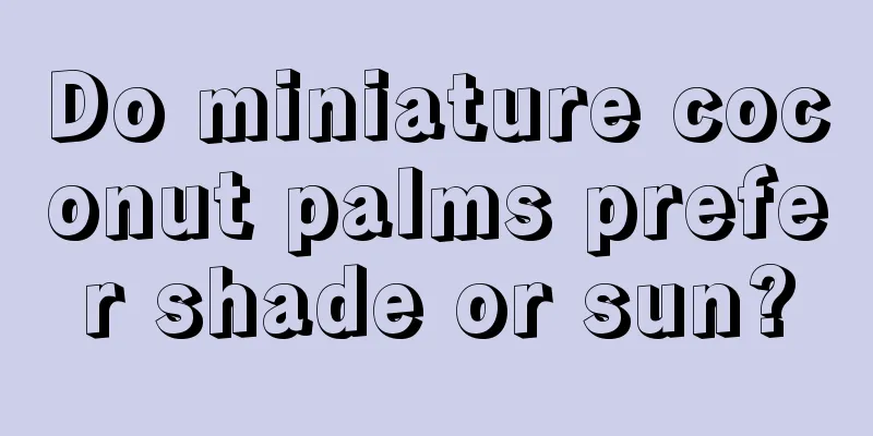 Do miniature coconut palms prefer shade or sun?