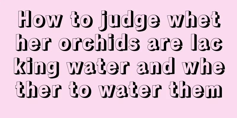 How to judge whether orchids are lacking water and whether to water them