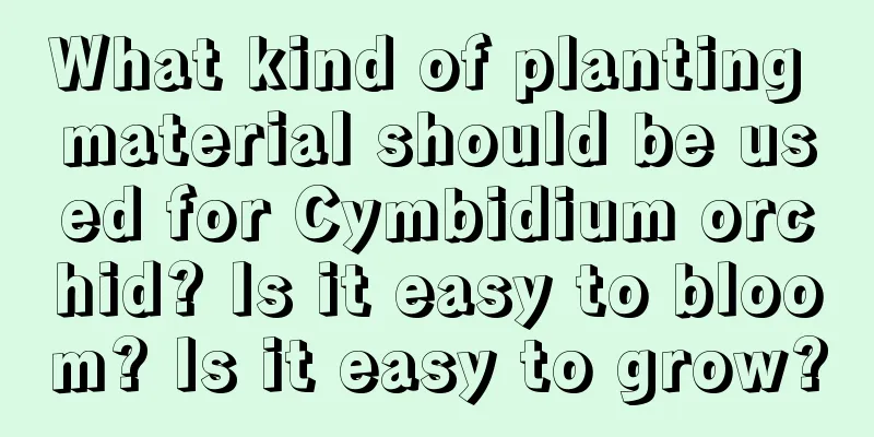 What kind of planting material should be used for Cymbidium orchid? Is it easy to bloom? Is it easy to grow?