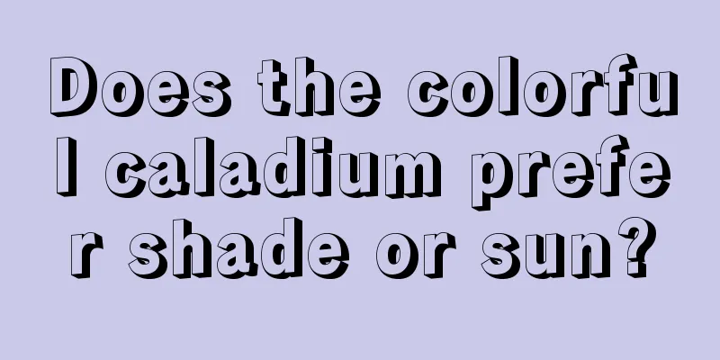 Does the colorful caladium prefer shade or sun?