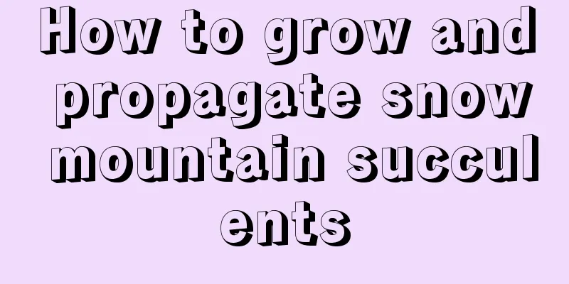 How to grow and propagate snow mountain succulents