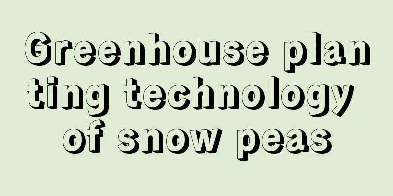 Greenhouse planting technology of snow peas