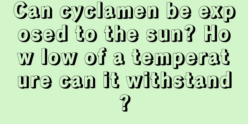 Can cyclamen be exposed to the sun? How low of a temperature can it withstand?