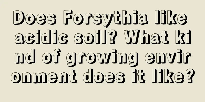 Does Forsythia like acidic soil? What kind of growing environment does it like?