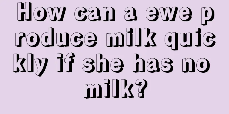 How can a ewe produce milk quickly if she has no milk?