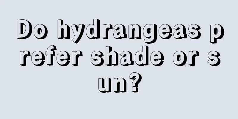 Do hydrangeas prefer shade or sun?