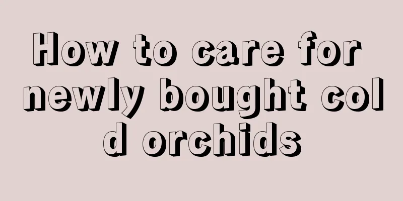 How to care for newly bought cold orchids