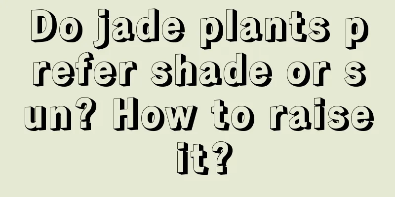 Do jade plants prefer shade or sun? How to raise it?