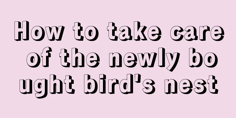 How to take care of the newly bought bird's nest