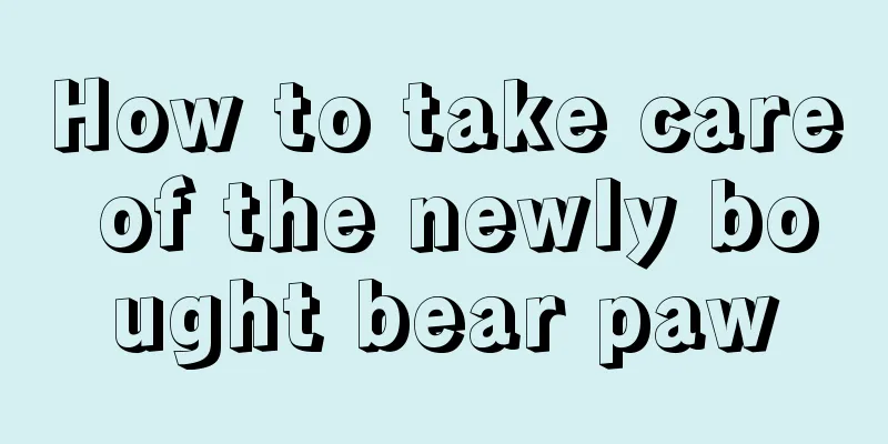 How to take care of the newly bought bear paw