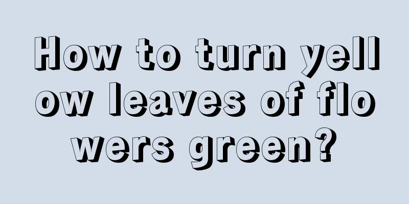 How to turn yellow leaves of flowers green?