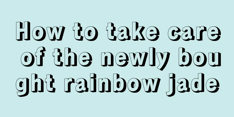 How to take care of the newly bought rainbow jade