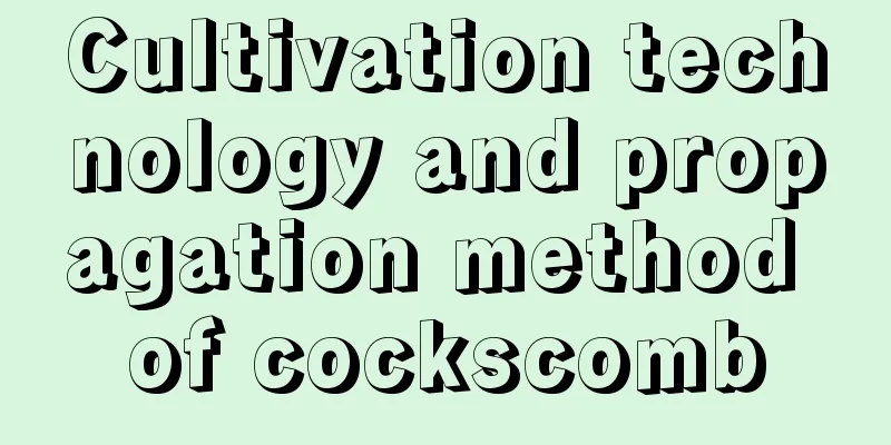 Cultivation technology and propagation method of cockscomb