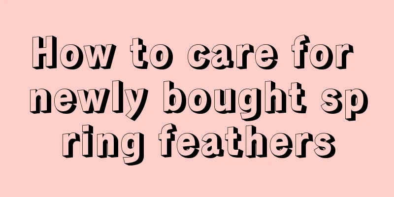 How to care for newly bought spring feathers