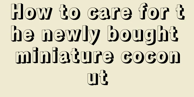 How to care for the newly bought miniature coconut