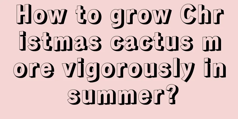 How to grow Christmas cactus more vigorously in summer?