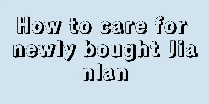 How to care for newly bought Jianlan