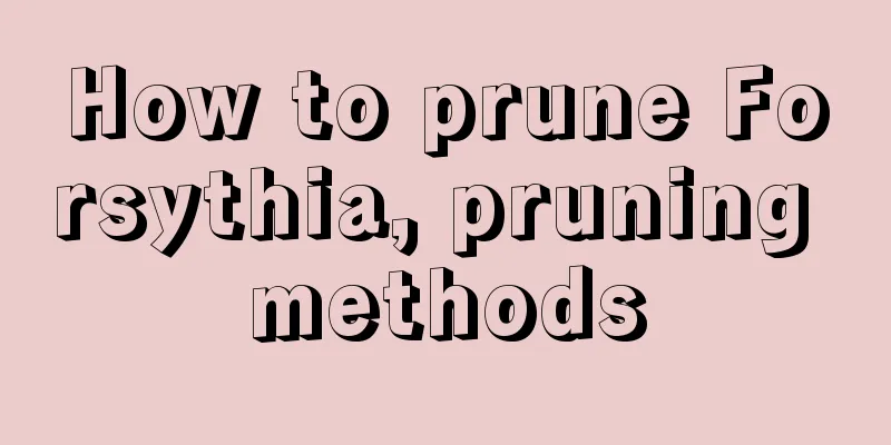 How to prune Forsythia, pruning methods