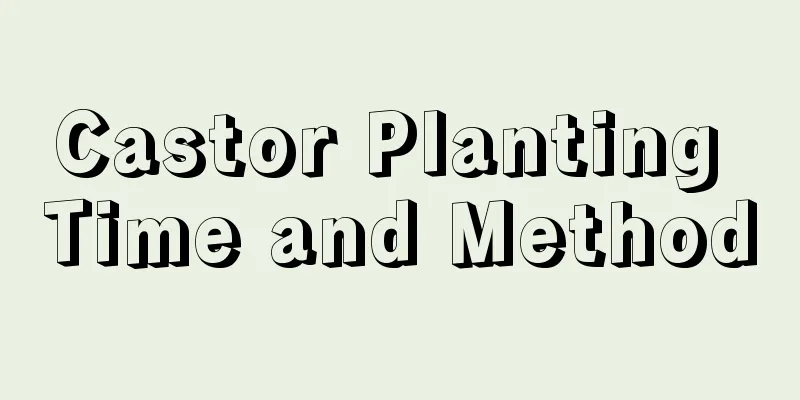 Castor Planting Time and Method