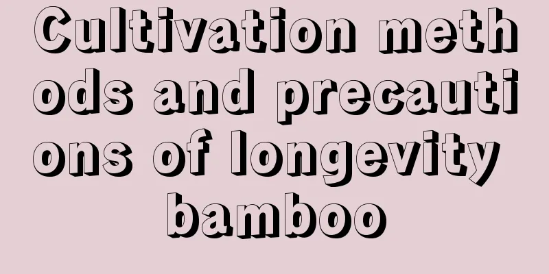 Cultivation methods and precautions of longevity bamboo