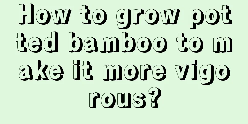 How to grow potted bamboo to make it more vigorous?